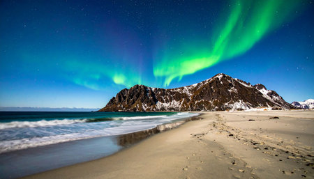 Aurora borealis at Lofoten islands, Norwayの素材