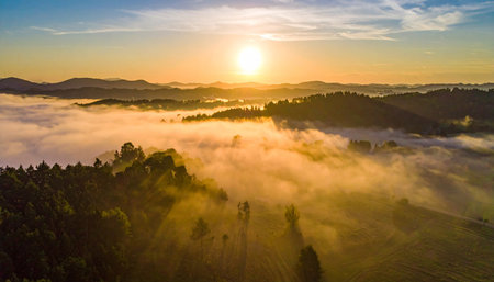 Aerial view of beautiful sunrise over foggy mountain valley in Polandの素材