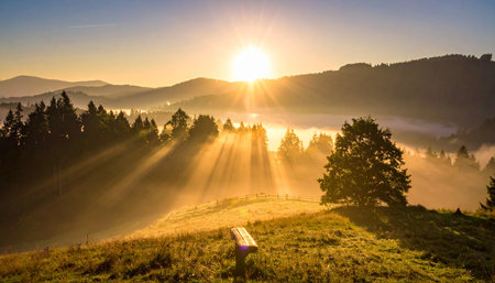 Sunrise in the Carpathian mountains. Ukraine, Europe.の素材