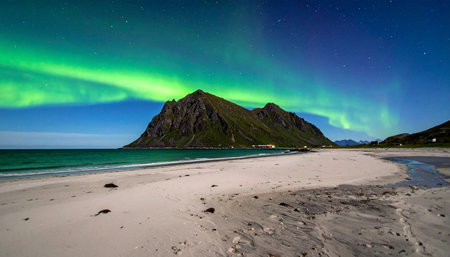 Aurora borealis at Lofoten islands, Norwayの素材