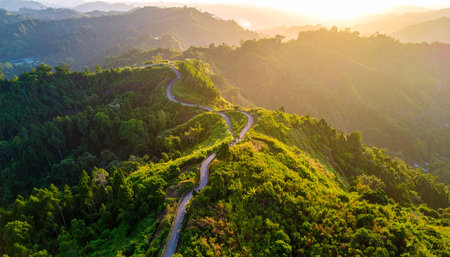 Aerial view of mountain road and green forest at sunset in Thailandの素材