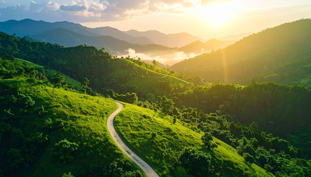 Beautiful mountain landscape with road and green forest at sunset. Nature backgroundの素材