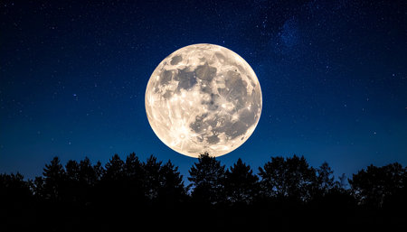 Full moon in the night sky with stars and silhouette of trees.の素材