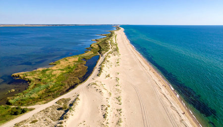 Aerial view of the sand dunes on the Baltic Sea coastの素材