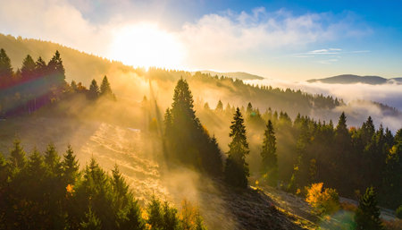 Foggy morning in the Carpathian mountains. Ukraine, Europe.の素材