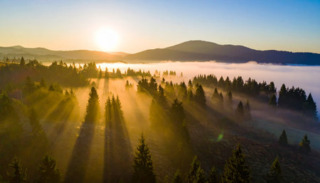 Foggy morning in the Carpathian mountains, Ukraine.の素材
