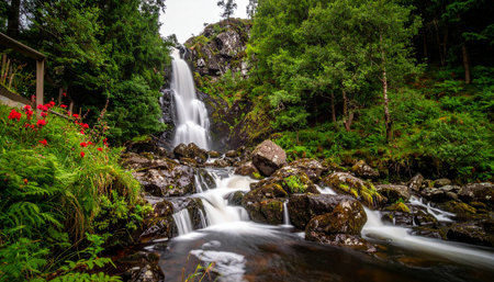 Vibrant red wildflowers add a splash of color to a lush green forest scene featuring a cascading waterfall.の素材