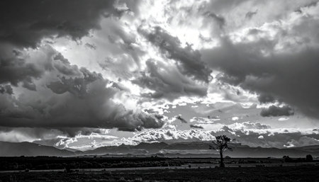A lone tree is silhouetted against a dramatic black and white stormy sky with textured clouds.の素材