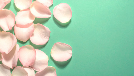 Numerous light pink and white rose petals are scattered across a vibrant teal green background, leaving empty space.の素材