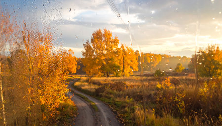 Golden autumn trees and a winding dirt road viewed through a window with raindrops.の素材