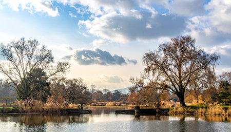 Bare willow trees and dry reeds border a calm lake reflecting a cloudy sky in a serene landscape.の素材