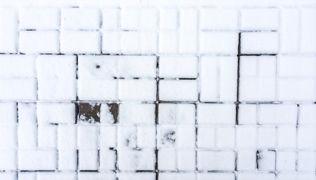 An overhead view of paving stones partially covered in snow, revealing some dark patches of the surface.の素材
