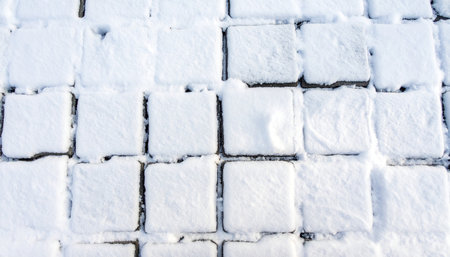 Square paving stones are lightly covered with fresh snow, forming a distinct grid pattern on the ground.の素材