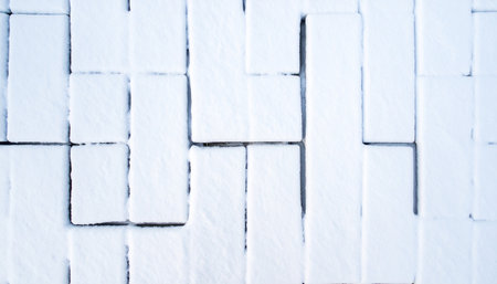 Overhead view of rectangular paving stones covered in snow, arranged in a varied, non-uniform pattern.の素材