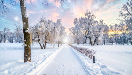 Snow covered park pathway with trees and colorful sunset sky with snow falling Clear details and vibrant colors enhan...の素材