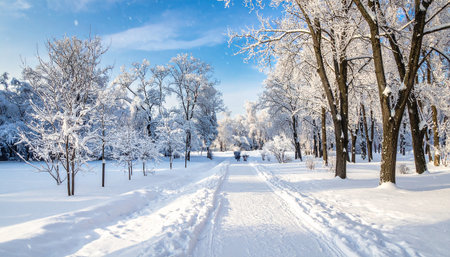 Snowy park pathway lined with trees under a bright blue winter sky with snow fallingの素材