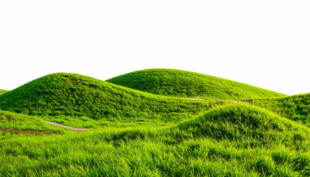 Green hill isolated on white background with clipping path and copy space.の素材