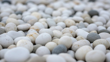 A close-up view of a textured surface filled with smooth, rounded white and grey pebbles and stones.の素材