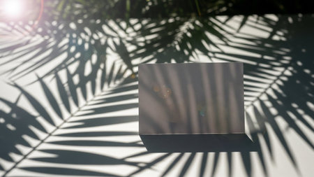 A blank white card is placed on a surface, bathed in the dappled light of the sun. Intricate shadows of palm leaves are cast across the card and the surrounding area, creating a natural pattern. The scene is illuminated by bright sunlight, with a subtle lens flare adding a touch of magic. The contrast between light and shadow, along with the organic shapes of the leaves, creates a visually appealing and serene composition. evokes a feeling of summer, relaxation, and a connection to nature.の素材