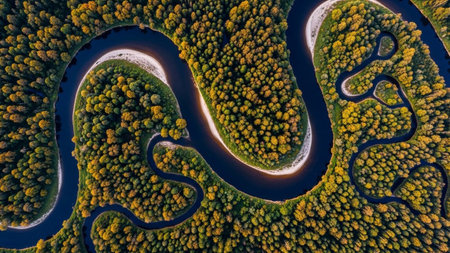 An aerial perspective reveals a dark, winding river snaking through a dense forest. The trees are ablaze with vibrant autumn foliage in shades of green, yellow, orange, and brown, creating a striking contrast with the deep blue water. The river's numerous curves and bends form natural patterns within the lush forest canopy. showcases the serene beauty of nature and the rich colors of the fall season from an overhead viewpoint.の素材