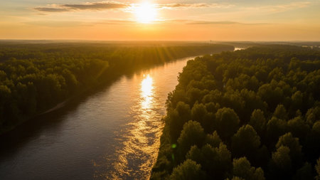 An aerial perspective captures a wide, calm river winding its way through a dense, verdant forest as the sun sets. Golden sunlight streams through the trees and reflects brilliantly on the water's surface, casting a warm, inviting glow across the landscape. The rich green canopy of the forest stretches to the horizon, creating a sense of vastness and natural tranquility. evokes a feeling of peace and the beauty of untouched nature.の素材