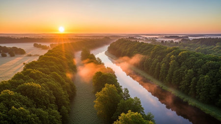 An aerial perspective reveals a tranquil river gracefully winding its way through a dense, lush green forest. The early morning sun casts warm rays, illuminating the scene and creating a soft glow. Wisps of mist rise from the water and the forest floor, adding an ethereal to the landscape. The vibrant green of the trees and the calm surface of the river create a peaceful and serene atmosphere.の素材
