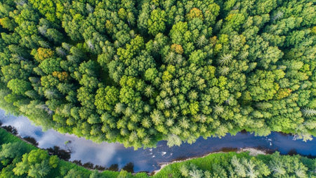 An aerial perspective reveals a dense, vibrant green forest stretching as far as the eye can A dark, winding river snakes its way through the trees, its surface reflecting the surrounding foliage. The lush canopy of leaves creates a rich texture and pattern from this overhead viewpoint. The scene is one of natural tranquility and abundance, showcasing the beauty of an untouched woodland ecosystem. The contrast between the deep green of the trees and the dark, flowing water is striking.の素材