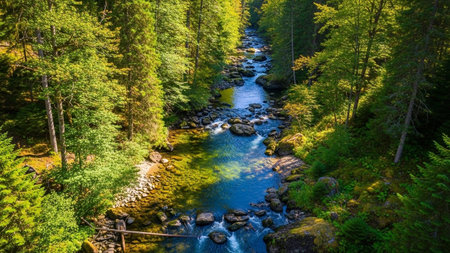 A crystal-clear river meanders through a dense, lush green forest. Sunlight filters through the tree canopy, creating dappled light and shadows on the water and the mossy rocks that line its banks. The water flows gently over smooth stones, revealing the riverbed below. The vibrant green foliage and the clean, refreshing water create a serene and tranquil natural environment, peaceful contemplation or outdoor exploration.の素材