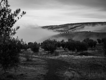 Field with clouds and fog in black and whiteの写真素材