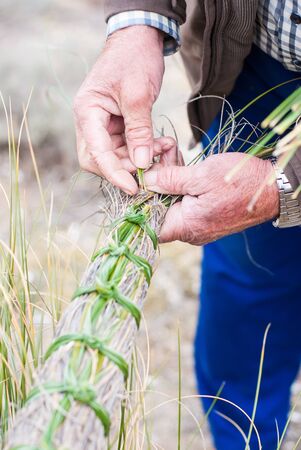 Country man working with esparto grass in the field