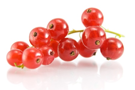 Isolated red currantの写真素材