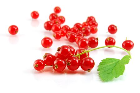 Isolated red currantの写真素材
