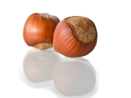 Nuts filberts isolated on white background.の写真素材