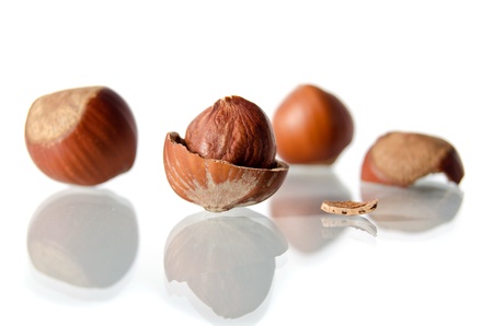 Hazelnuts on a white backgroundの写真素材