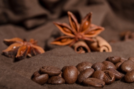 coffee beans and star anise, cinnamonの写真素材
