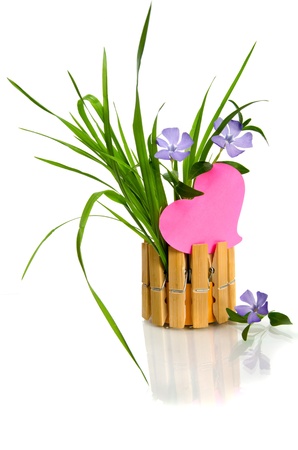 Beautiful blue flower and pink heart  isolated on whiteの写真素材