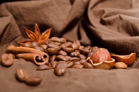 coffee beans and star anise, cinnamonの写真素材