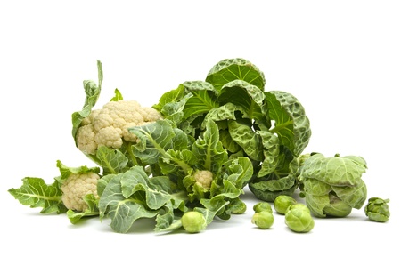 still life of fresh cabbage on a white backgroundの写真素材