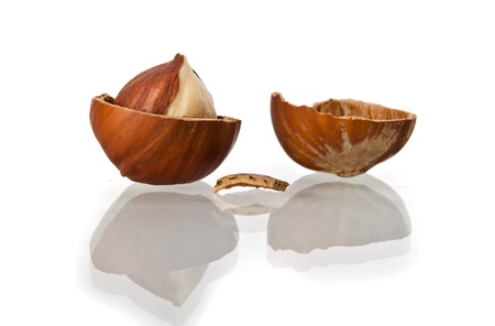 Hazelnuts on a white backgroundの写真素材
