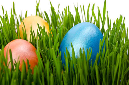 red easter eggs in green grass with white backgroundの写真素材