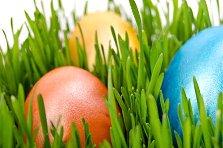 easter eggs in green grass with white backgroundの写真素材