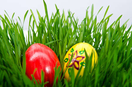 red easter eggs in green grass with white backgroundの写真素材