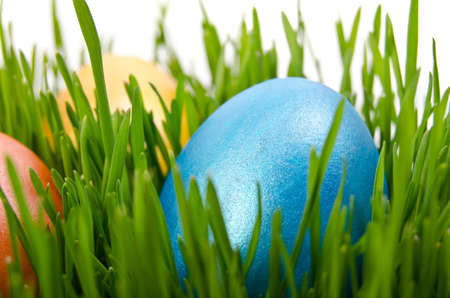easter eggs in green grass with white backgroundの写真素材