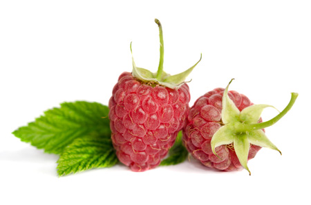 Two sweet ripe raspberries isolated on white background の写真素材