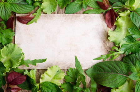 Fresh green salad on the frame of wooden background