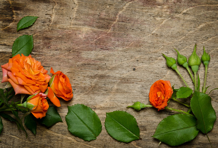 Corner from roses with leaves on wooden backgroundの写真素材