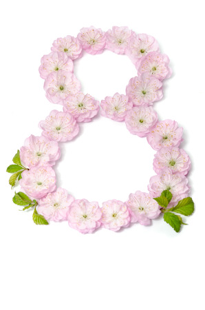 pink flowers in  shape of number eight on white backgroundの写真素材