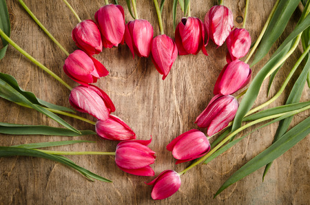 The heart-shaped frame of fresh tulips is laying on an old rustic wooden backgroundの写真素材