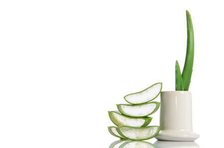 organic aloe vera isolated on whiteの写真素材