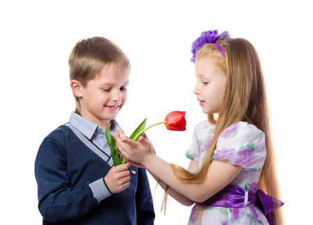 the boy gives the girl a tulip isolated on white backgroundの写真素材